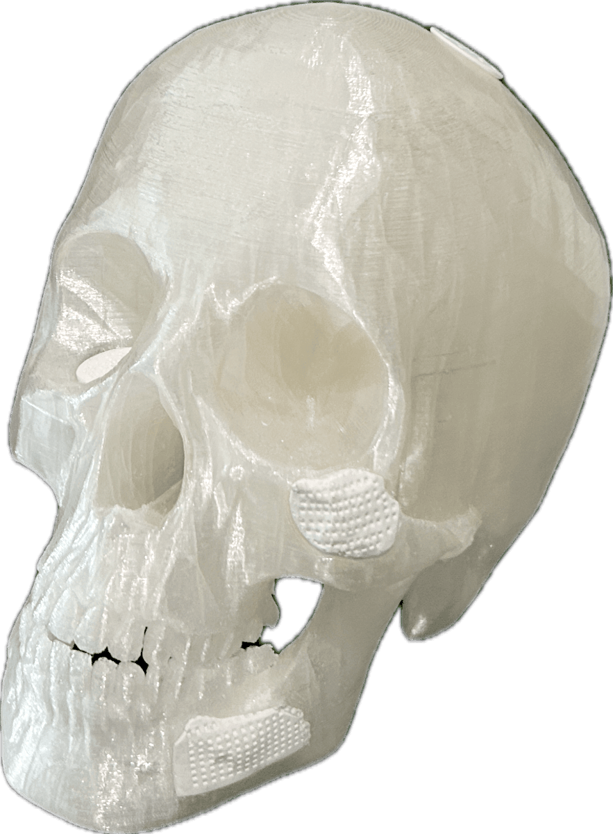 demo cranial nobg bright (1)